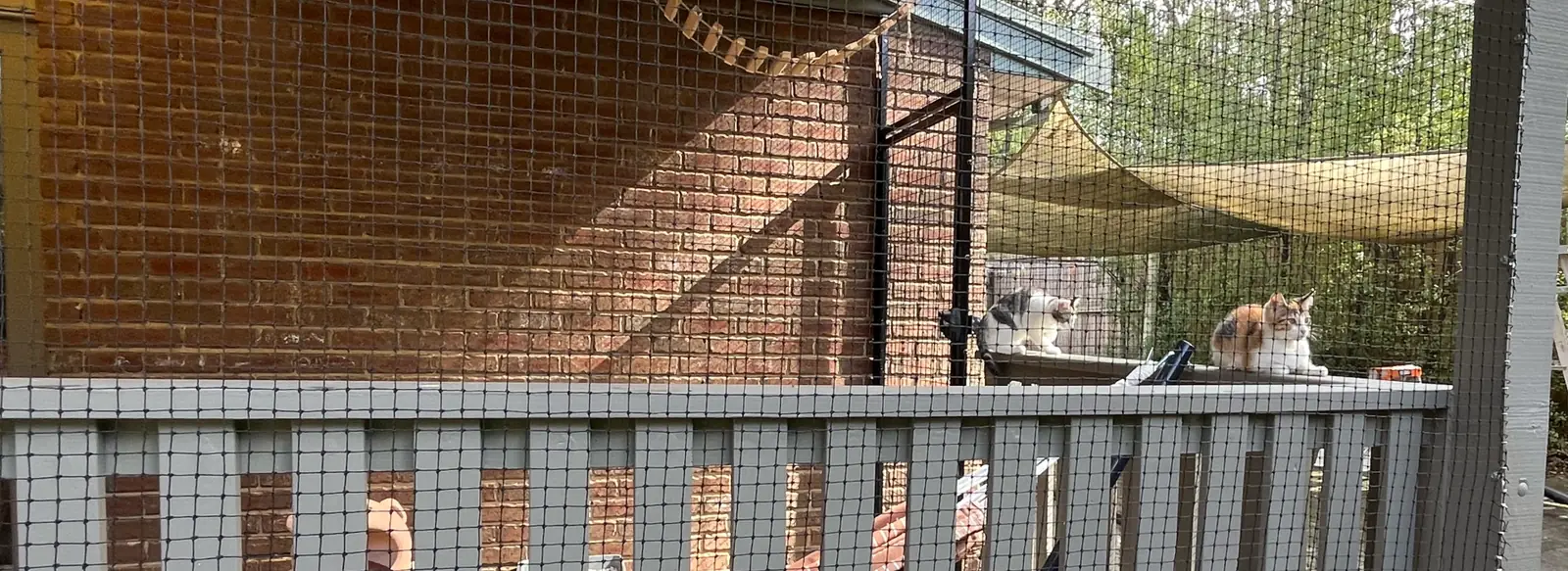 Backyard Catios: an example custom cat enclosure