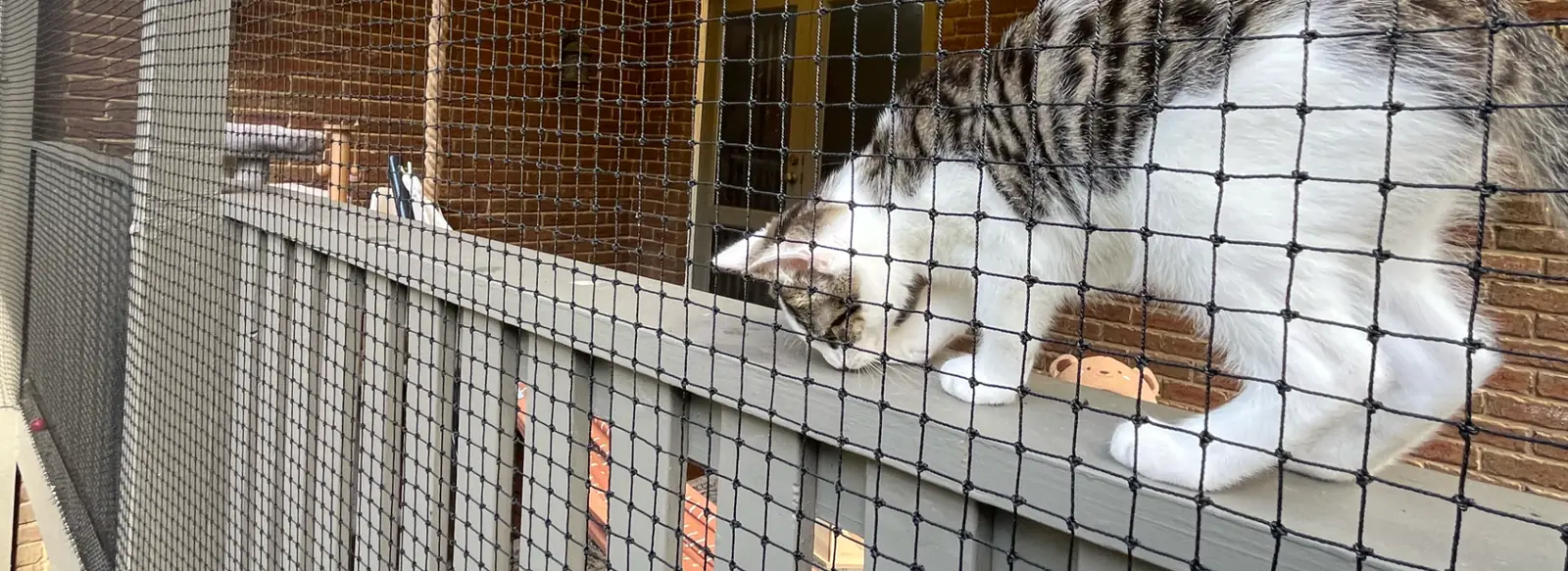 Window Catios: an example custom cat enclosure